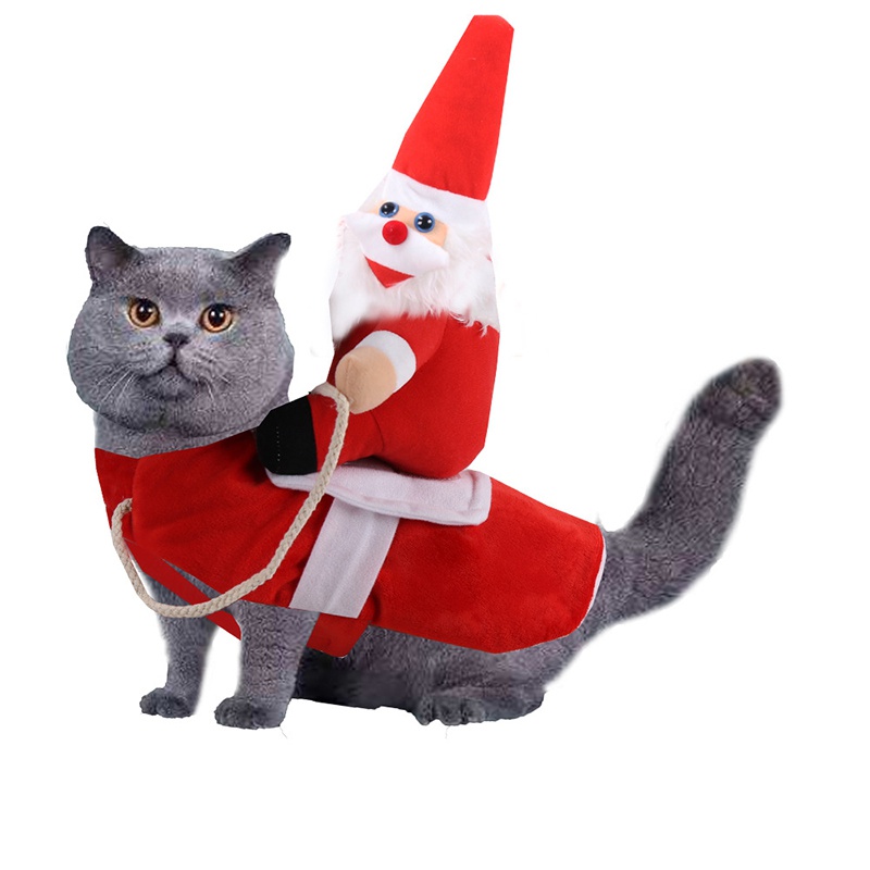 Funny Cat Clothes Riding Outfits